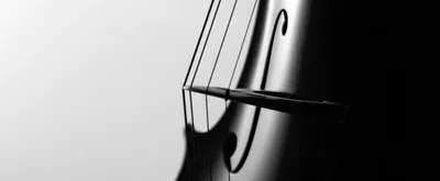 Nahaufnahme eines Cellos