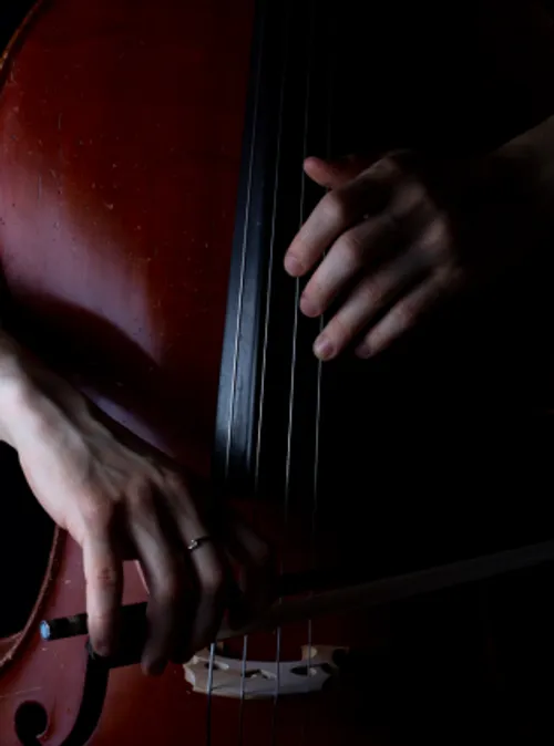 Das Cello von Claudia Micheel während Sie spielt in Nahaufnahme